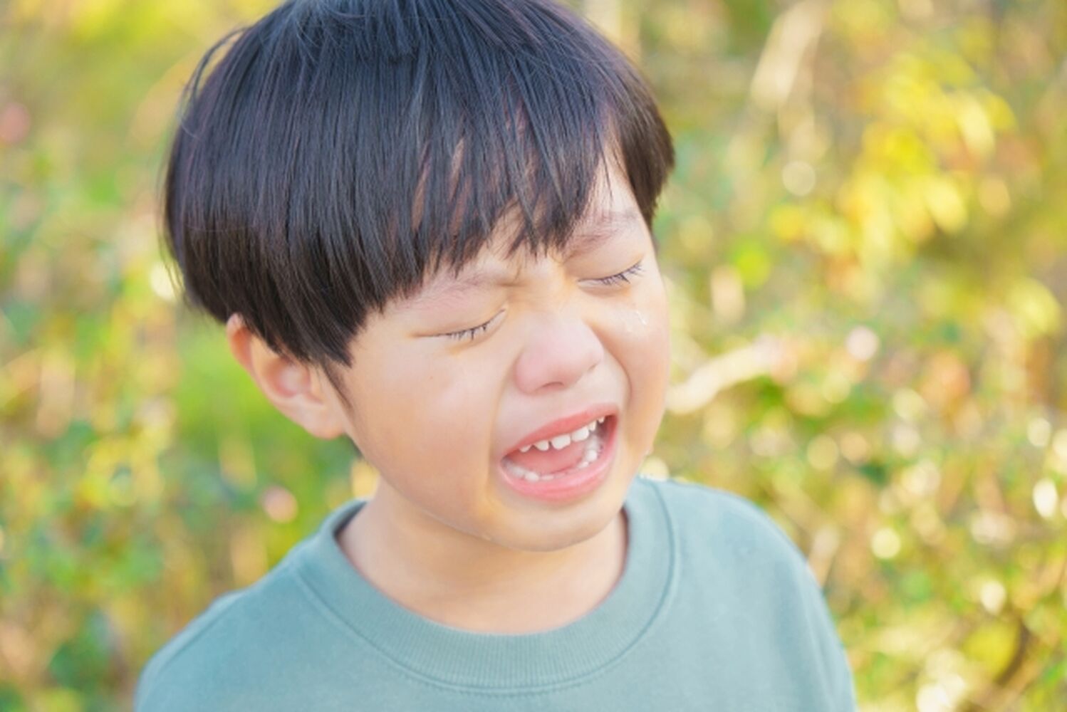 画像8170